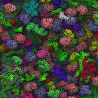Snapshot of a cytoplasm in a Brownian dynamics simulation courtesy Adrian Elcock, University of Iowa.