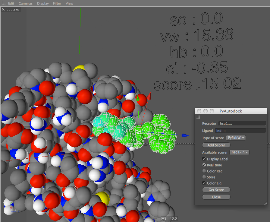 Screen shot of PyAutodock showing an inhibitor in green bound to a protein courtesy Arthur Olson, The Scripps Research Institute.