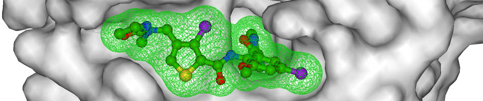 Inhibitor bound to Factor Xa. Adler et al. (2002) Biochemistry 41, 15514-23. PDB entry 1MQ6.