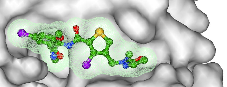 Inhibitor bound to Factor Xa.  Adler et al. (2002) Biochemistry 41, 15514-23.  PDB entry 1MQ6